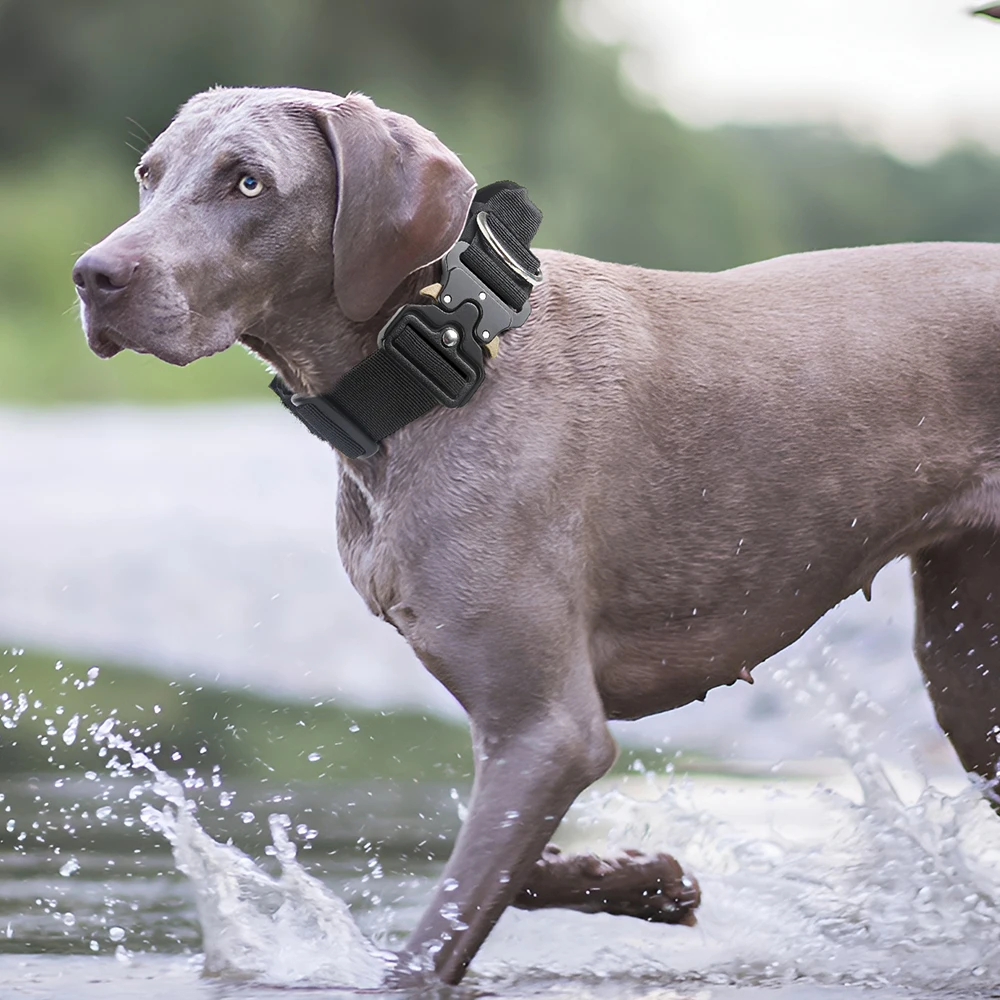 Lo último en Collar de entrenamiento para perros grandes con agarre para perros medianos y grandes Weimaraner Doberman Pinscher suministros ajustables para mascotas al aire libre - imagen 4
