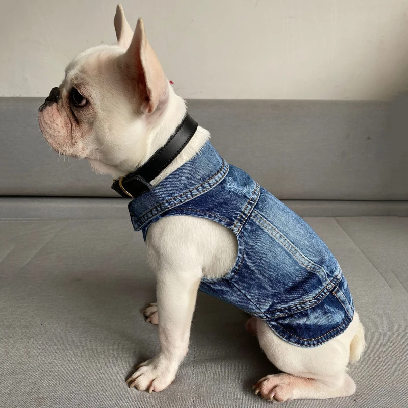 Chaqueta vaquera para perros pequeños y medianos – Chihuahua, Yorkie y Bulldog - imagen 5