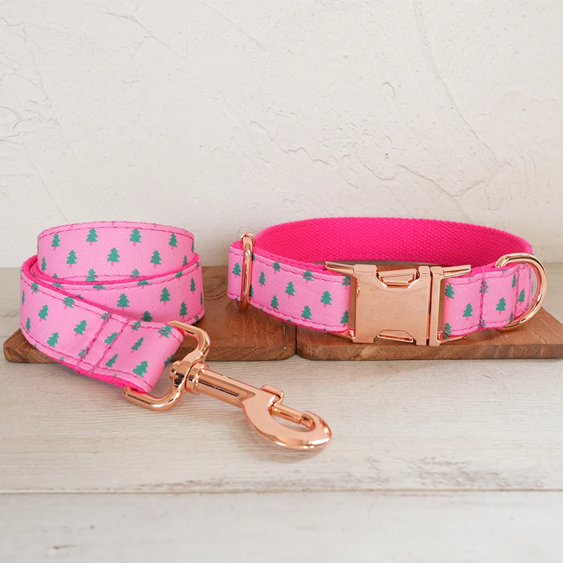 Dog Collar Leash Set