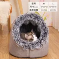 Longhaired Grey