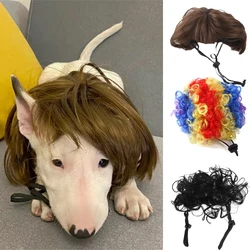 Gorra divertida para perros pequeños y gatos – Accesorio disfraz gracioso