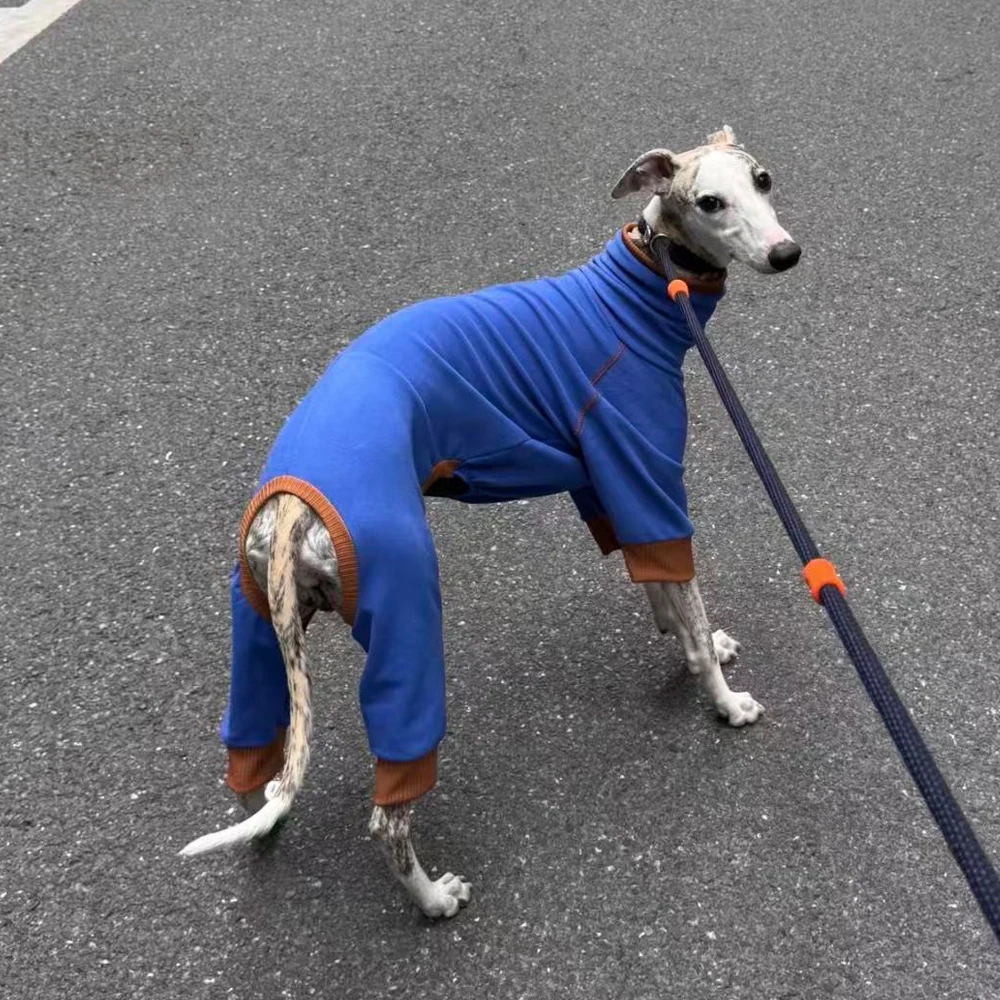 Abrigo fleece azul para Whippet y Bedlington Terrier – Cálido para invierno