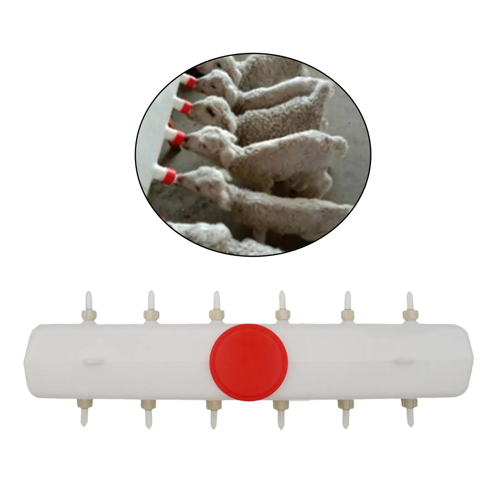 MiLK Feed Bucket Large-capacity MiLK Bottle Feeder Livestock