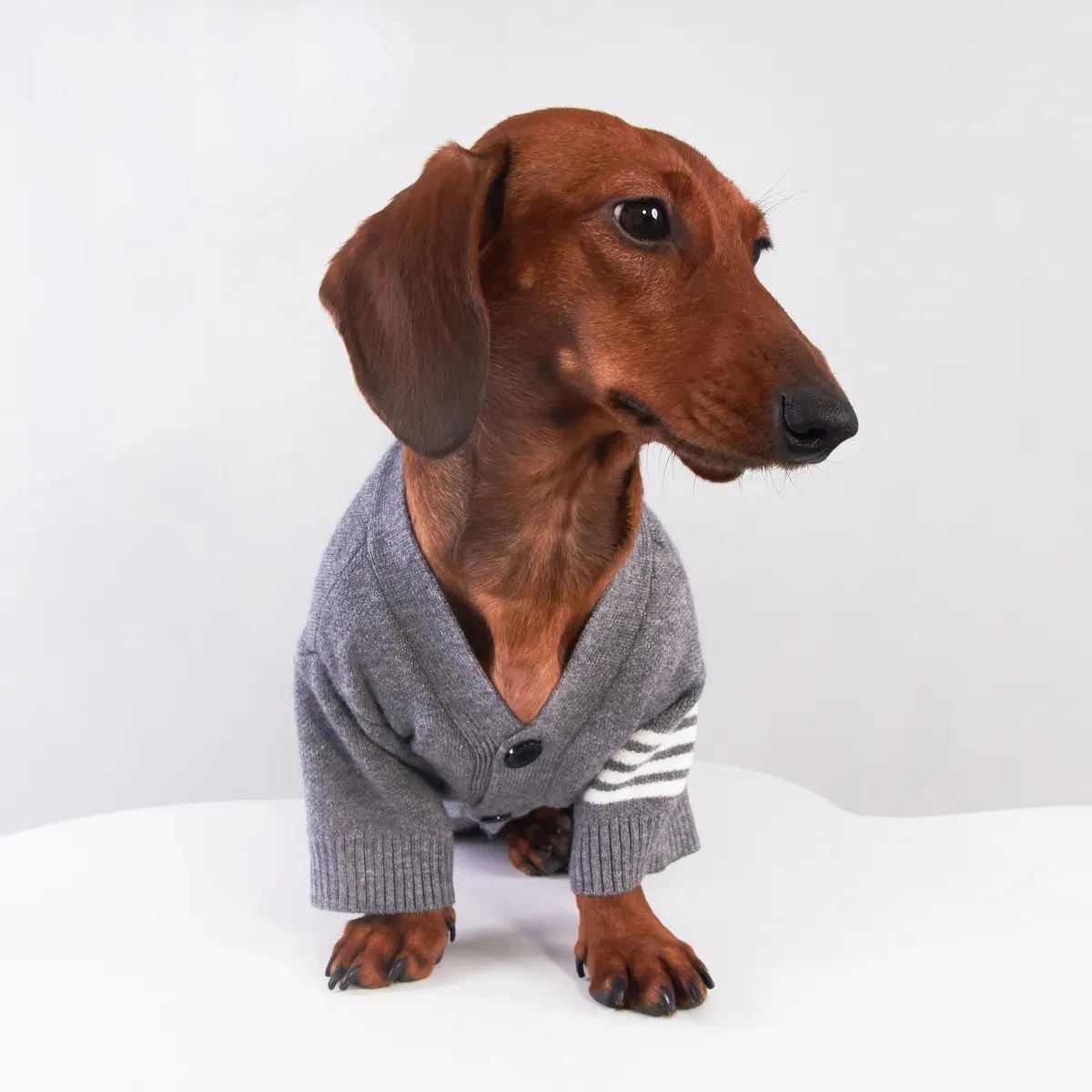 Chaqueta a rayas grises para perro Wiener en invierno, abrigo cálido de manga larga para perros tejón, cárdigan suave, ropa de descanso para perros salchicha - imagen 3