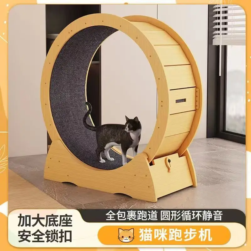 Rueda de ejercicio para gatos vista frontal