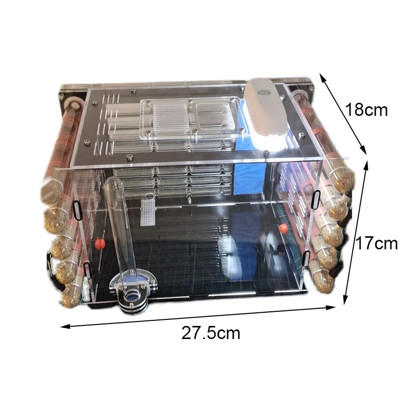 Granja de hormigas acrílicas, tubo de ensayo de bambú DIY, nido de hormigas, insecto, Hotel, mascota, antill, pueblo con gran área de caza, casa de hormigas, perrera, taller - imagen 5