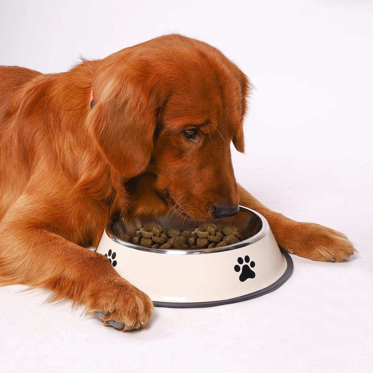 Cuenco de acero inoxidable para gatos y perros domésticos - imagen 4