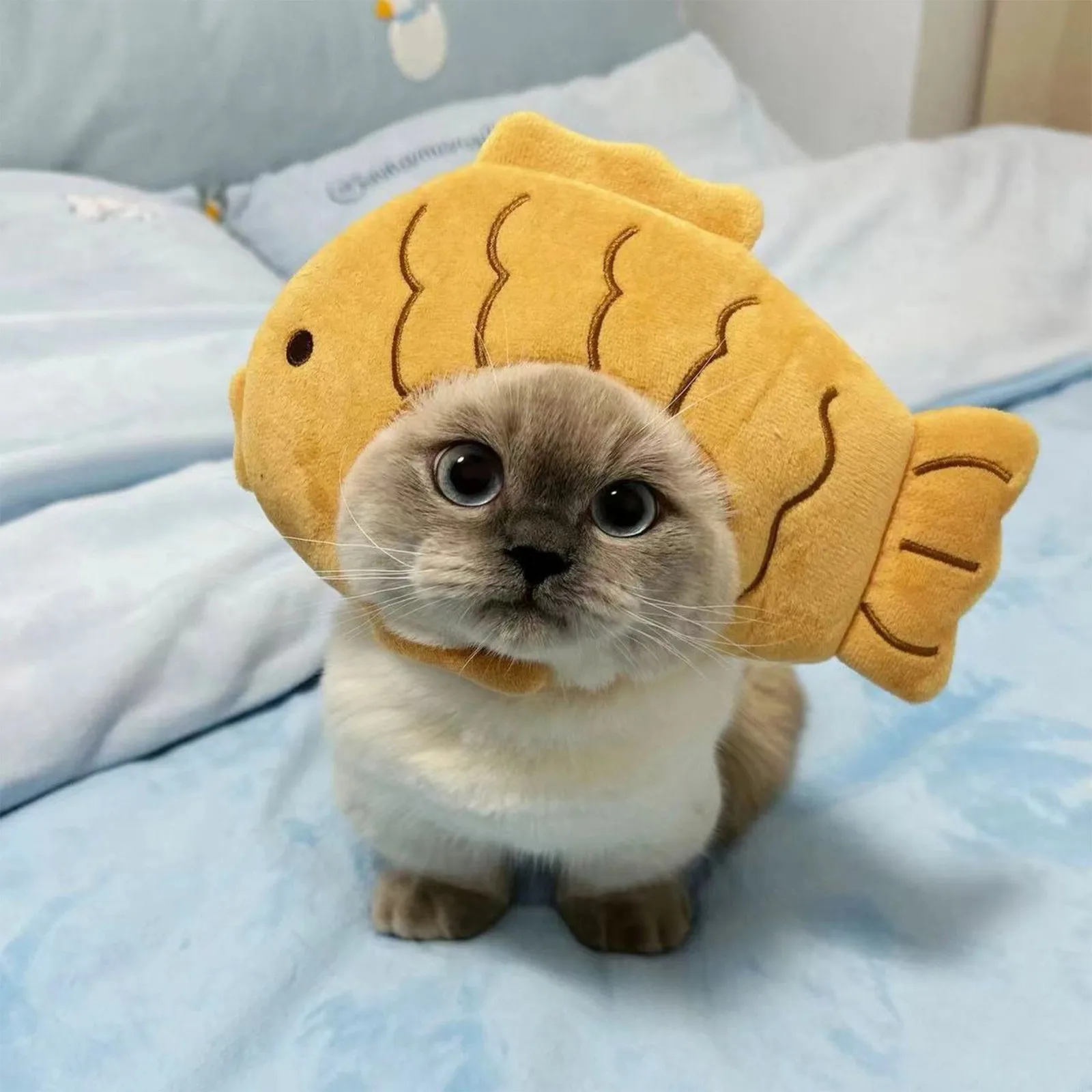 Gorro de gato forma pez disfraz dibujos animados transpirable peluche - imagen 5