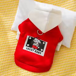 Sudadera con capucha para perros y gatos – Abrigo otoñal Chihuahua