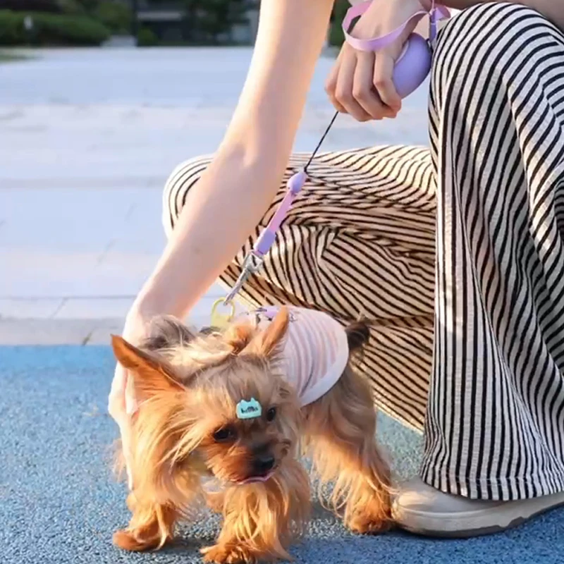 Correa Booteely de 3M para perros pequeños, correa retráctil automática, correa para gatitos con lazo manual, correa para perros Bichon Frise compacta y portátil - imagen 2