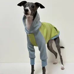Jersey con capucha para Bedlington y perros mini – Primavera/Otoño