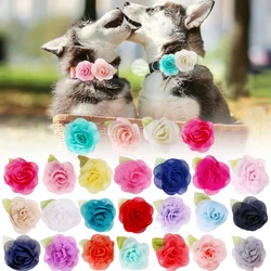 Pajarita de flores deslizante para perros y gatos