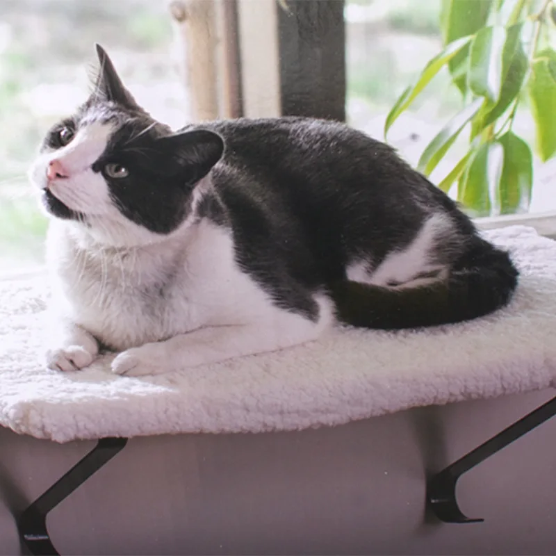 Hamaca ventana para gatos sin taladro – Cama térmica y perchero - imagen 3