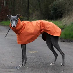 Chubasquero impermeable para perros grandes - Whippet