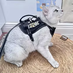 Arnés reflectante para gatos Siamés con correa y accesorios