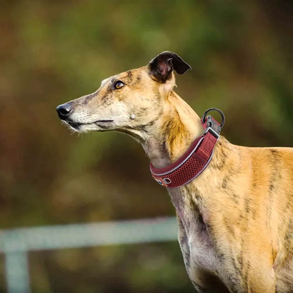 Collar de perro personalizado, collares de malla transpirables para perros, Collar reflectante para mascotas, duradero para perros pequeños, medianos y grandes, grabado gratis - imagen 5