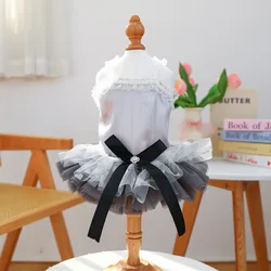 Vestido de encaje para perros y gatos: bodas, fiestas y verano
