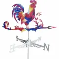 Colorful Rooster