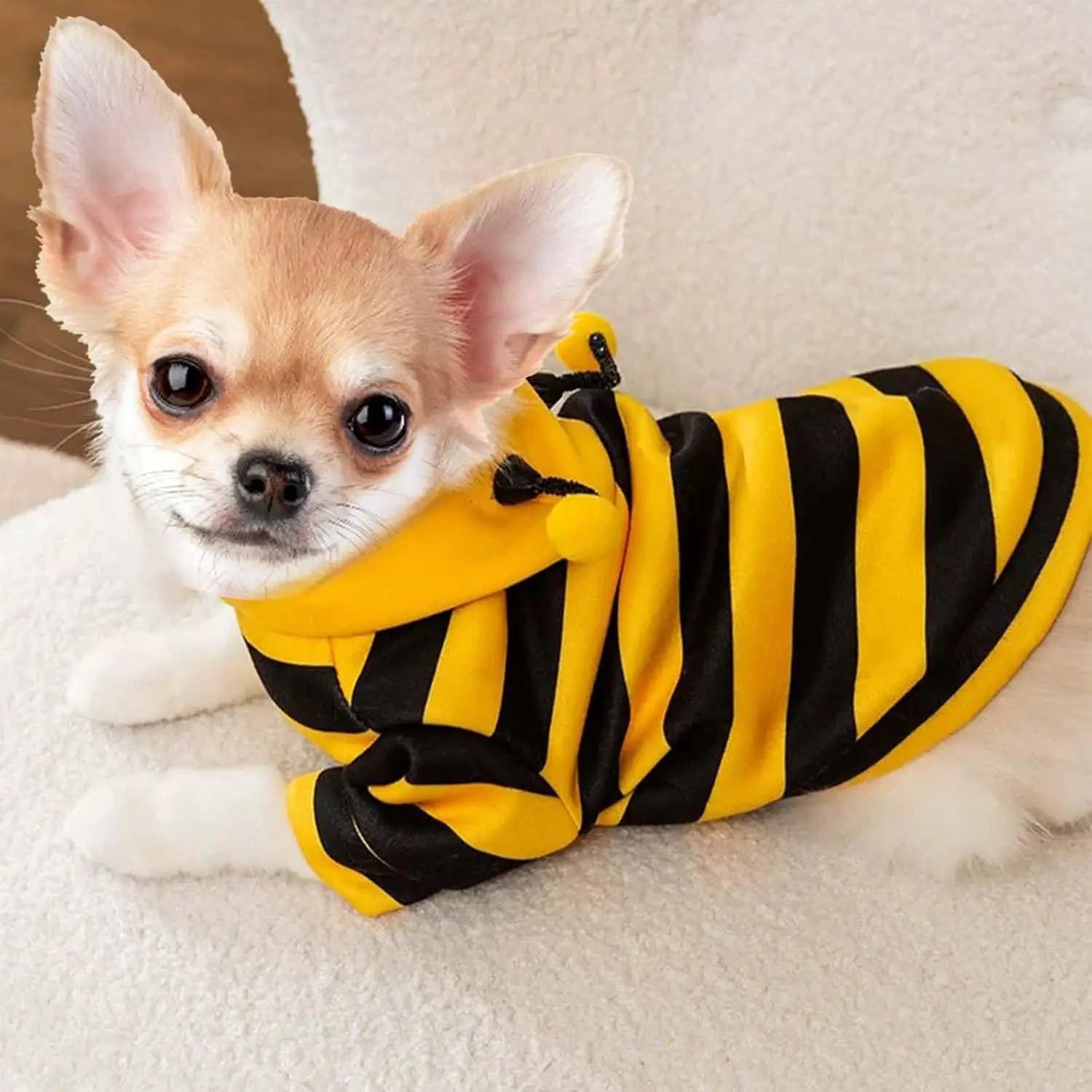 Divertidos disfraces de abeja para mascotas, ropa para gatos, sudaderas con capucha a rayas para gatos, gatitos, fiesta de disfraces de Pascua y Halloween - imagen 2