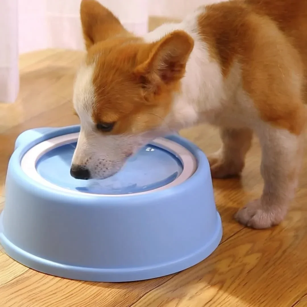 Cuenco antisalpicaduras para mascotas, cuenco de agua para perros, bebedero de gran capacidad, bebedero flotante para perros, boca no humedecido, cuenco para gatos - imagen 2