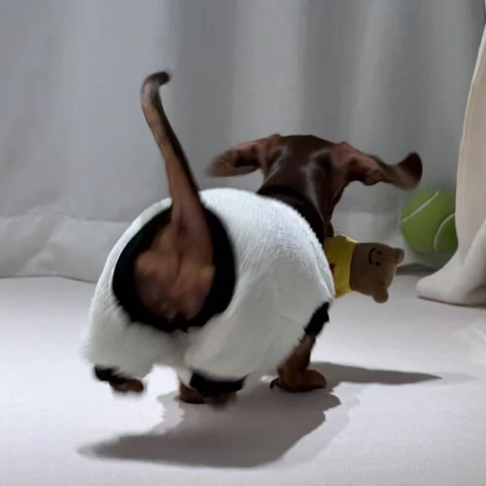 Ropa de invierno para perros salchicha - Mono felpa suave - imagen 4