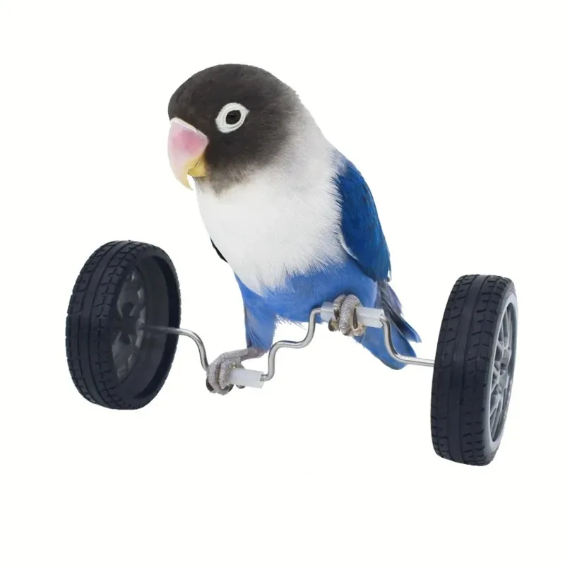 Juguete de equilibrio para loros – Interactivo y educativo - imagen 4