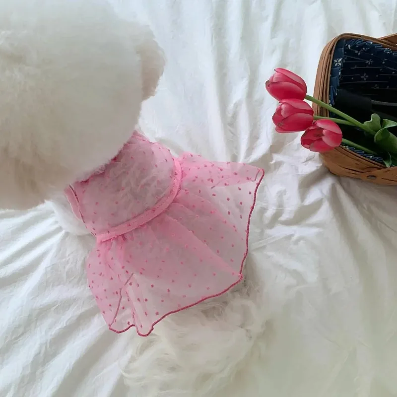 Ropa para mascotas, falda con tirantes de verano a la moda, ropa fina de encaje de malla transpirable para perros, chaleco protector solar para perros pequeños y gatos - imagen 2