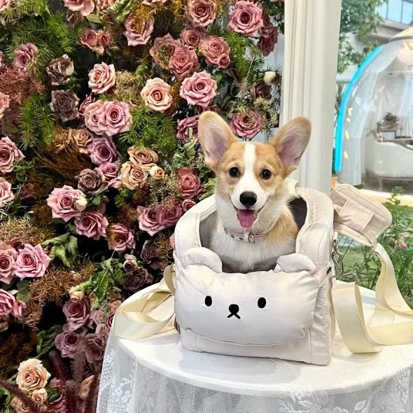 Bolsa transporte bandolera portátil perros y gatos pequeños medianos - imagen 2
