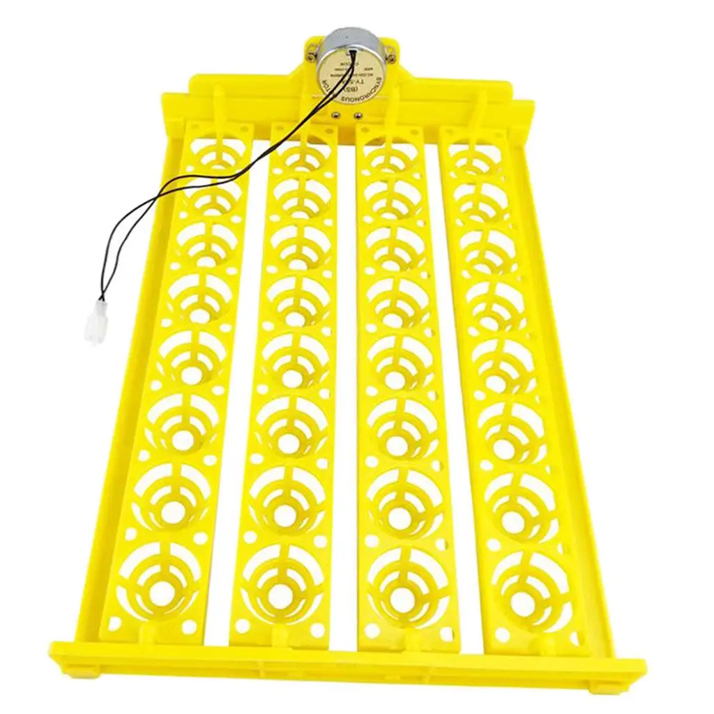 Egg Incubator Tray Automatic Turning Small er Household 220V 32 Eggs Tray for Bird Poultry Chick Duck Eggs Egg Incubator Tray Automatic Turning Small er Household 220V 32 Eggs Tray for Bird Poultry Chick Duck Eggs