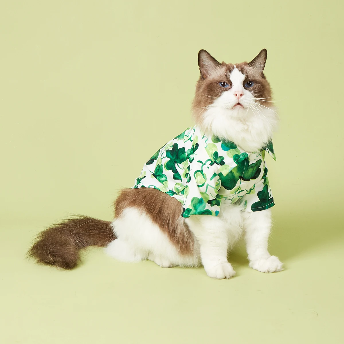 "Ropa para mascotas, camisa para perros, divertida camisa de trébol, disfraz bonito para cachorros, ropa para perros pequeños y medianos, gatitos, gatos, mascotas para Da de San Patricio - imagen 4