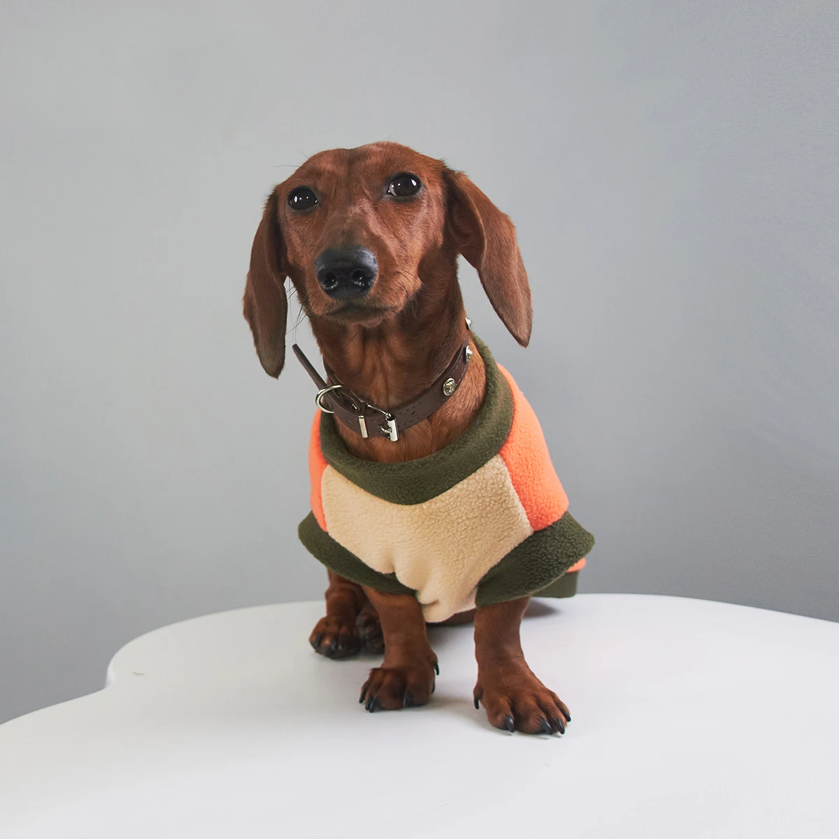 Sudadera de lana cálida de invierno para perros Wiener, chaleco de moda grueso de manga corta suave para perros salchicha, ropa para perros tejón - imagen 4