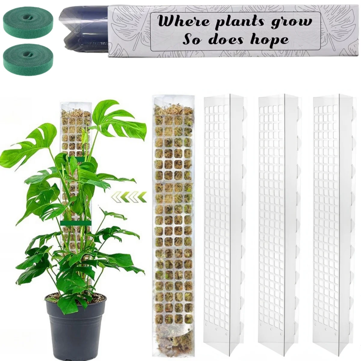 Soporte de musgo para plantas de interior con poste para trepadoras