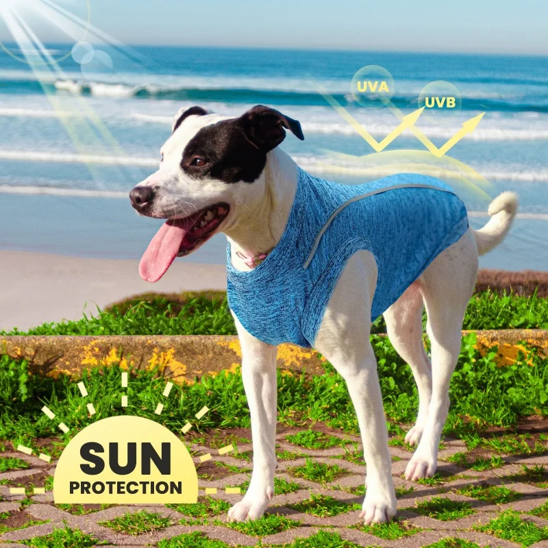 Chaleco fino de verano para perros, ropa reflectante sin mangas para perros, camisa transpirable para cachorros, chaleco de lujo para gatos, ropa con protección solar para mascotas, jersey para perros - imagen 4