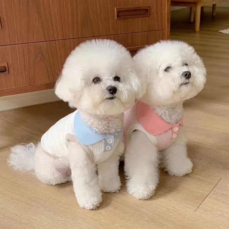 Camiseta fina con solapa para perro y gato, camiseta sin mangas con contraste bonito, osos de peluche, ropa para gato y perro pequeño de Pomerania, chaleco refrescante para perro - imagen 3