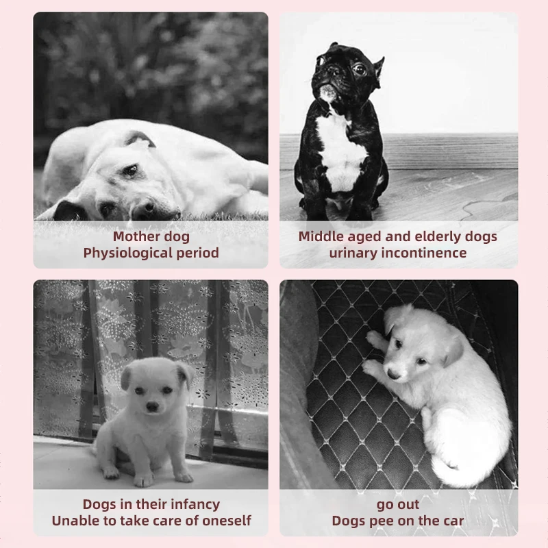 HOOPET 10 Uds pañales desechables para perros mujer hombre súper absorción fisiológica gato mascota pañales a prueba de fugas pantalones transpirables - imagen 4