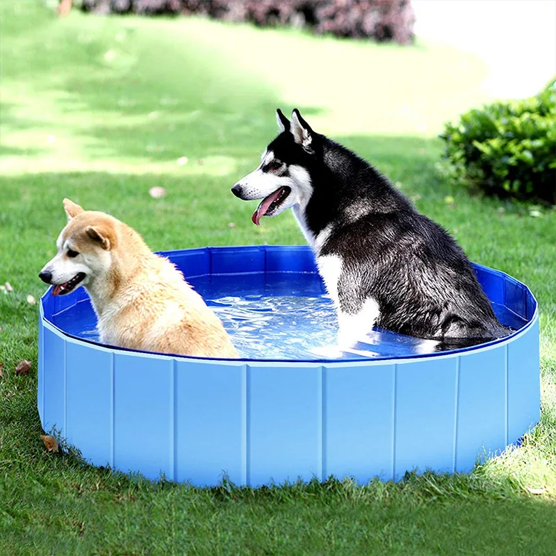 Piscina plegable de PVC para perros, bañera para mascotas, para interiores y exteriores, XXL - imagen 3