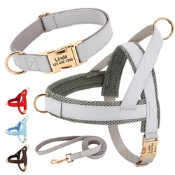 Collar de cuero personalizado para perro, correa y chaleco malla
