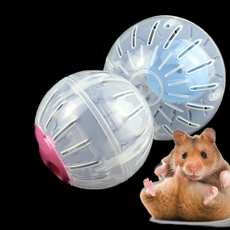 Pelota deportiva al aire libre Grounder Rat, pelota transparente transpirable, ratones pequeños para mascotas, pelota para correr, juguete para hámster, gerbil, pelota de ejercicio, juguete - imagen 3