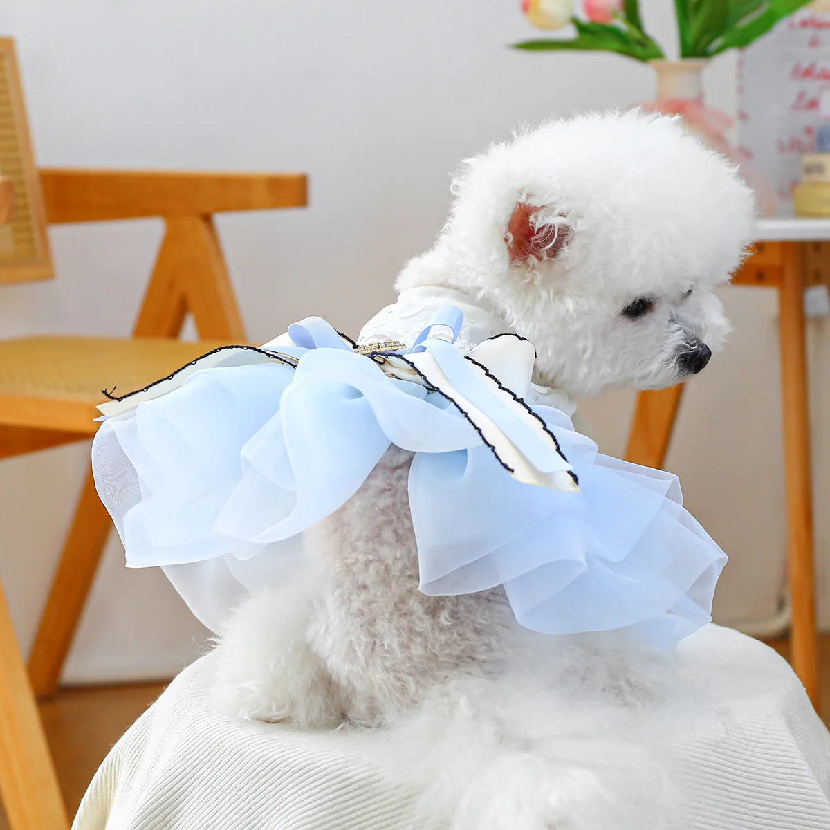 Vestido con lazo de primavera para mascotas, ropa para perros, falda de hilo de Pony azul, vestidos para perros pequeños, ropa para cachorros, vestido pequeño - imagen 3