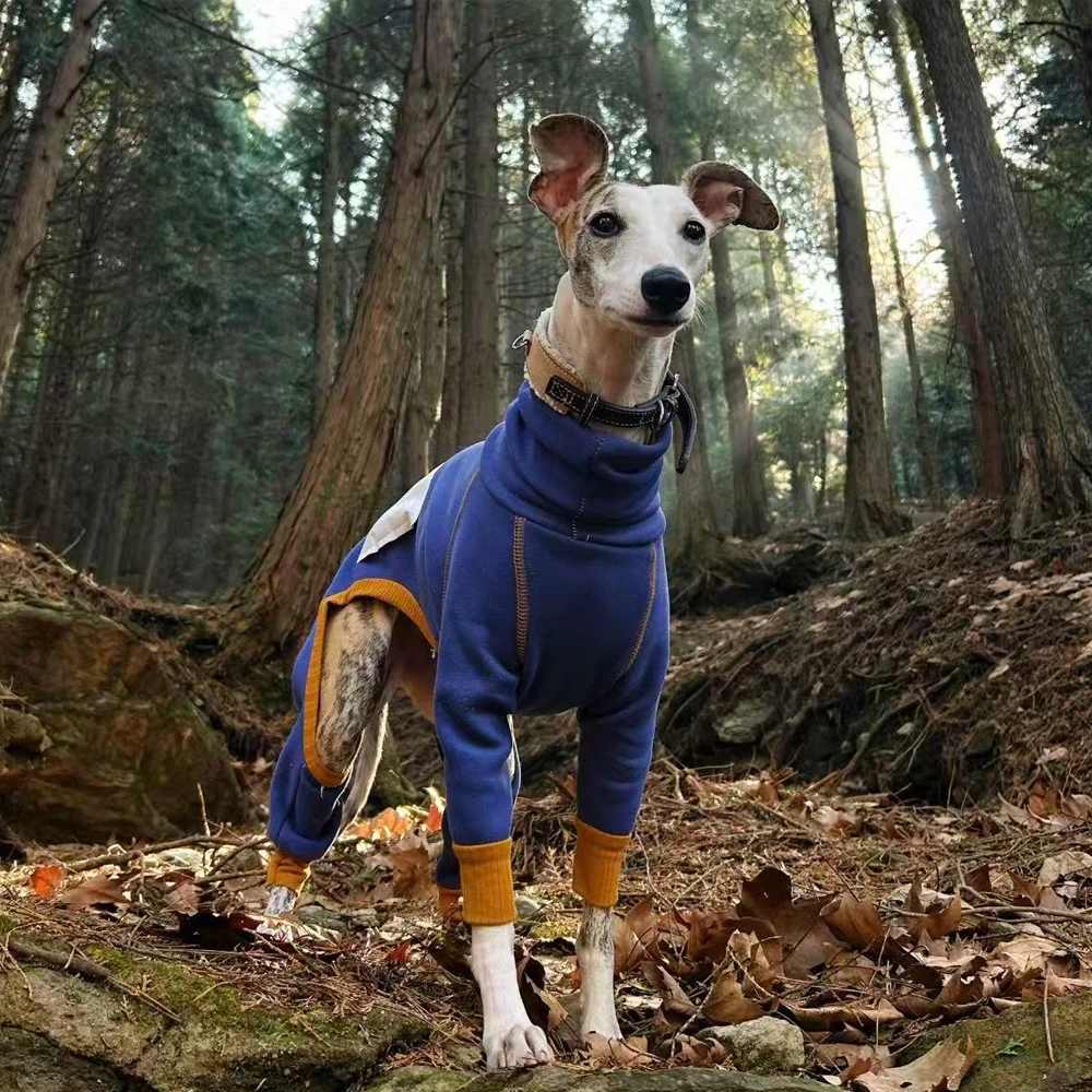 Abrigo fleece azul para Whippet y Bedlington Terrier – Cálido para invierno - imagen 3