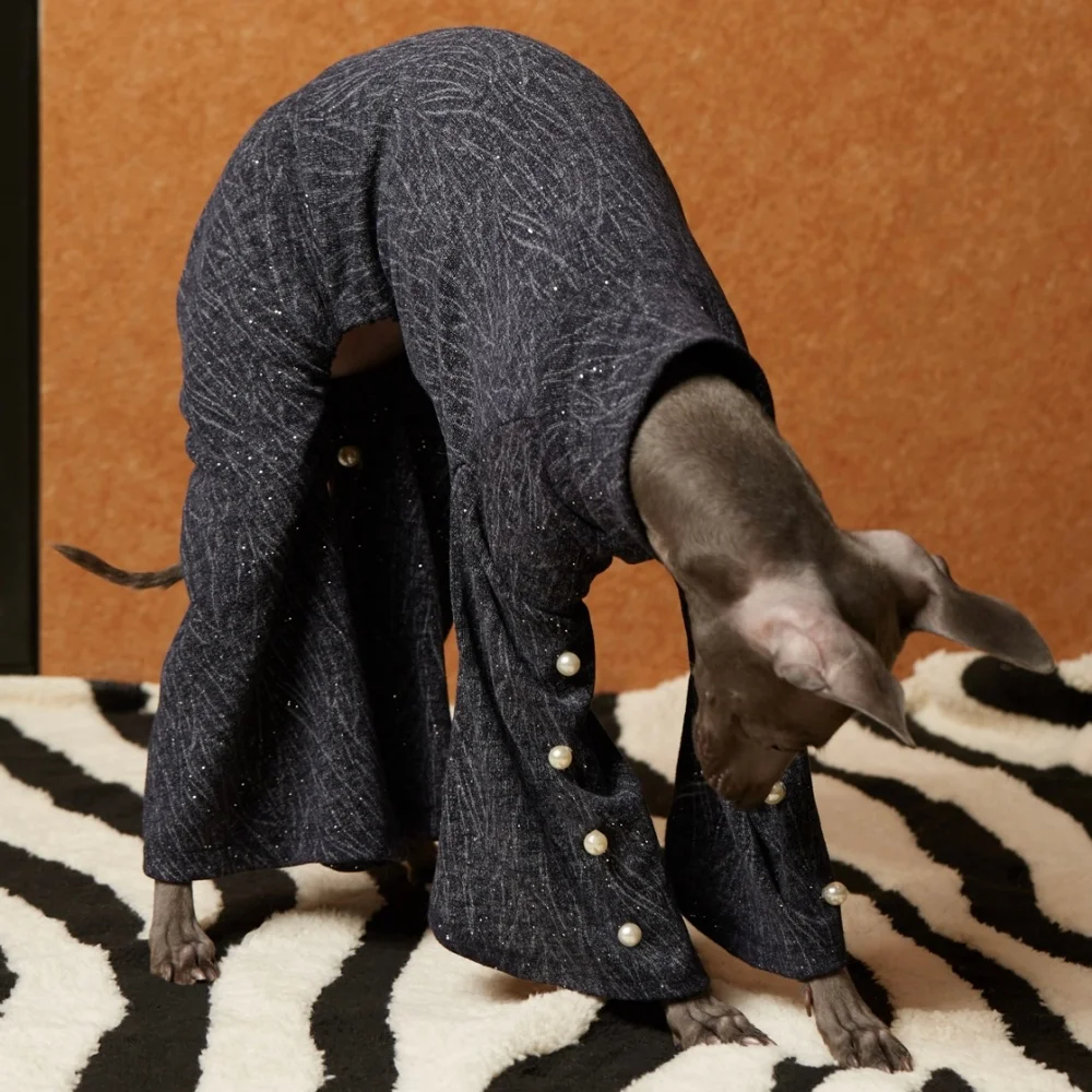Vestido de noche azul con perlas para perro galgo italiano elegante - imagen 4