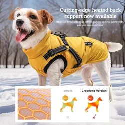 Abrigo de invierno para perros – Impermeable y acolchado
