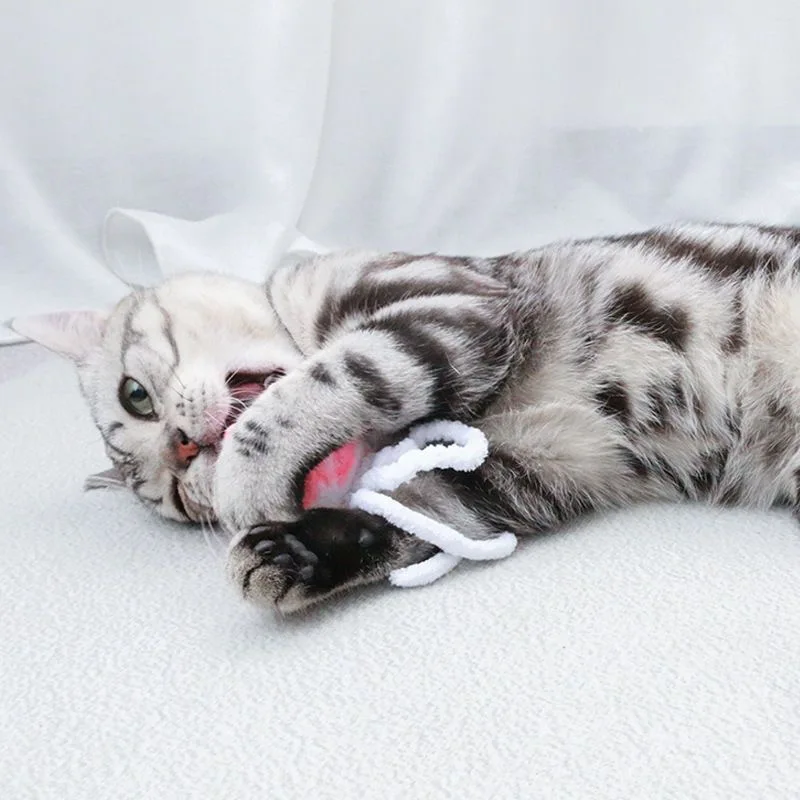 Pelota de peluche con chirriante para mascotas, juguete divertido para perros pequeños, gatos, gatitos, cachorros, suministros para masticar - imagen 2