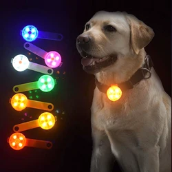 Collar antipérdida LED recargable impermeable para perros y gatos