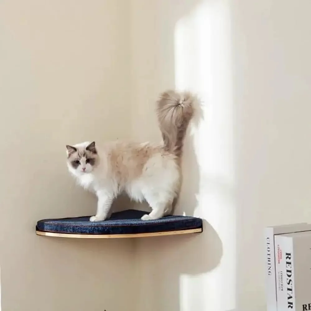 Muebles para gatos, rascador, hamaca, casa oculta, puente, estantes de escalada para gatos, gimnasio, parque infantil, juguete de molienda de garra - imagen 3