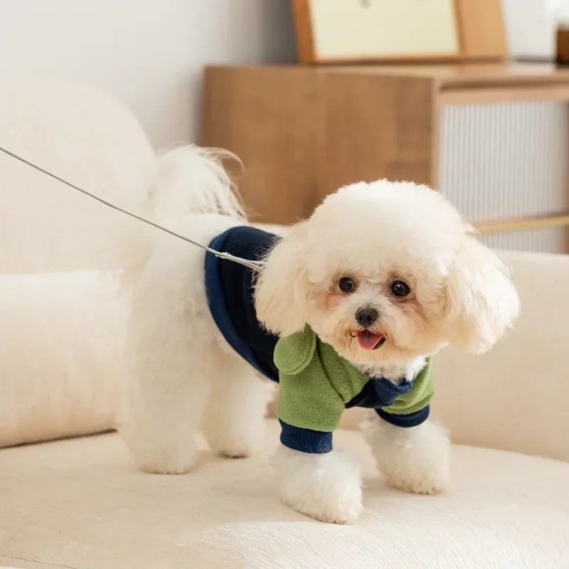 Ropa de terciopelo con orejas de oso para perro, Sudadera con capucha cálida para cachorro, gato, otoño e invierno, novedad - imagen 3