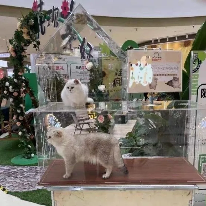 Jaula acrílica para gatos, vitrina transparente para interiores y exteriores, transpirable, impermeable, transportadores profesionales, accesorios para productos para mascotas - imagen 2