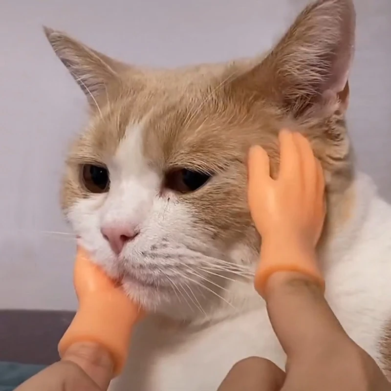 Juguetes novedosos para chico y adulto, Mini manos divertidas, juguetes creativos para dedos, mano pequeña y suave, juguete para mascotas, regalo de Halloween - imagen 3