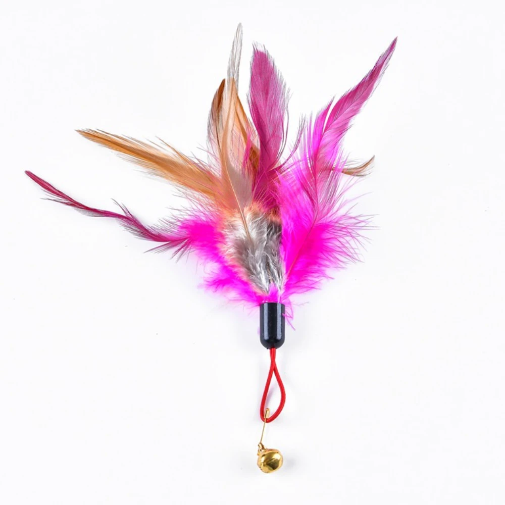 Recambios de varita para gatos, repuesto de plumas de pollo con campana, juguete interactivo para gatitos, 3 uds./5 uds. - imagen 4