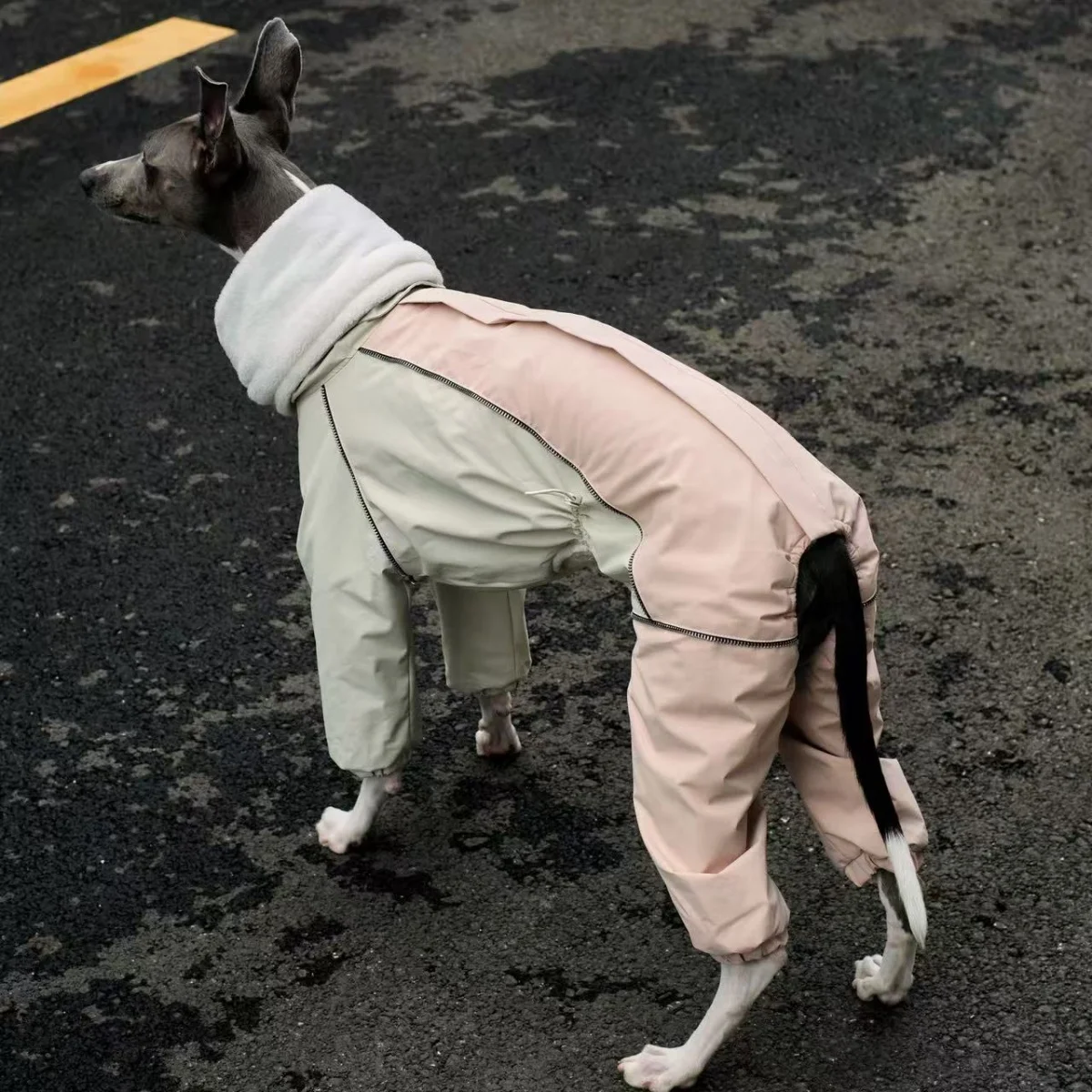 Chaqueta de forro polar grueso gris oscuro de cuatro patas de invierno con cremallera en la parte posterior para galgos italianos, a prueba de viento, impermeable y cálido, abrigo rosa con pecho ajustable para perros.